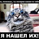 ���� ����, �������, 44 ���� - ��������� 13 ����� 2015 � ������ ������ ��������