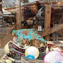 ���� ���� �������, ����������, 62 ���� - ��������� 13 ������ 2015 � ������ ��������