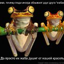 ���� ������, ���������, 49 ��� - ��������� 9 ������ 2015 � ������ ������ ��������