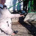 ���� �����, ������, 44 ���� - ��������� 30 ����� 2015 � ������ ���� ����������