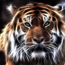 ���� ���������, �������, 52 ���� - ��������� 18 ����� 2015