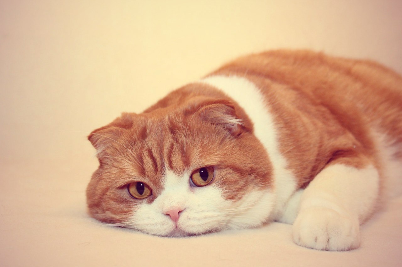 : 3. . .
