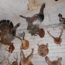 ���� ������, ������, 58 ��� - ��������� 22 ������� 2015 � ������ ���� �����