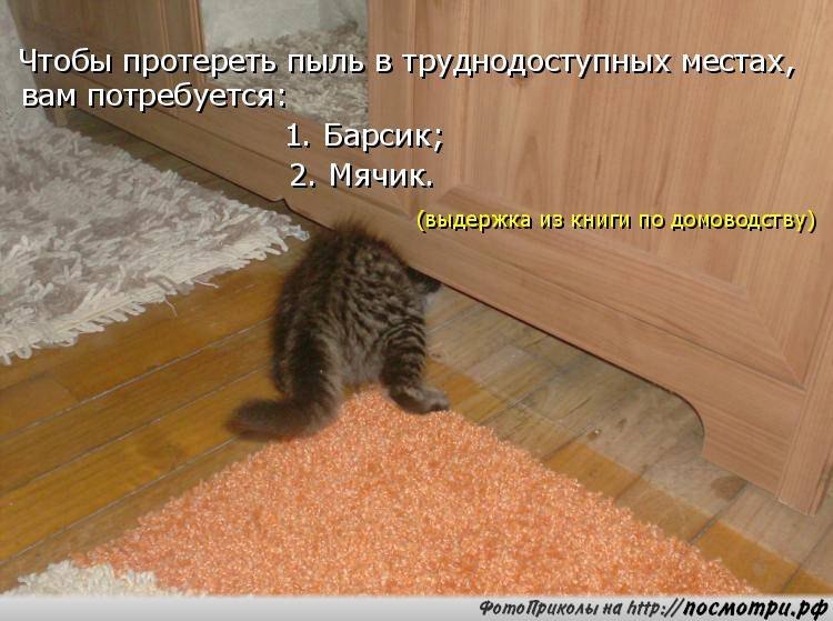 Мужик заходит в бар и заказывает рюмку водки. Только собирается выпить как подбегает маленькая ...