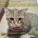 ���� ������, ��������������� - ��������� 13 ������ 2015 � ������ ������