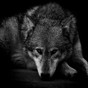 ���� ������, ������������, 49 ��� - ��������� 19 ������� 2015 � ������ ���� ����������