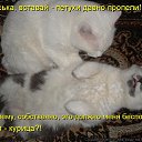 ���� ����, ���� - ��������� 9 ����� 2015 � ������ ������ ��������