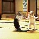 ���� ������, ��������������� - ��������� 13 ������ 2015 � ������ ������