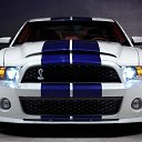 ���� �����, �����������, 40 ��� - ��������� 15 ������� 2014 � ������ ���� ����������