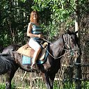 ���� �������, ������ �������� - ��������� 15 ����� 2015