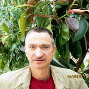 ivan, 65 , 