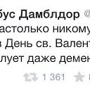 ���� �����, �����������, 28 ��� - ��������� 9 ������� 2015 � ������ ������ ��������