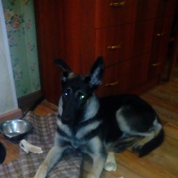 ���� ���������, �������, 46 ��� - ��������� 15 ����� 2015