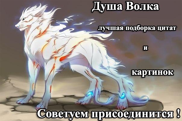     - 11  2015  03:05