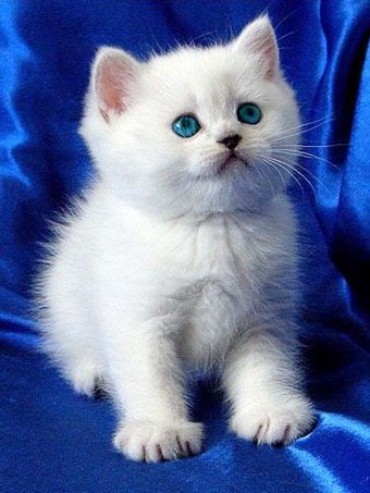   - 22  2015  11:30 - 6