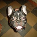 ���� ����, �����-���������, 30 ��� - ��������� 2 ����� 2015 � ������ ������� ''�������''�