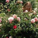 ���� ������, �������� - ��������� 18 ������� 2015 � ������ ���� �����