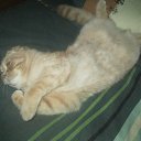 ���� ������, ������������, 67 ��� - ��������� 19 ����� 2015 � ������ ������