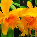 ���� ������, ���� - ��������� 30 ����� 2015 � ������ ������ ��������