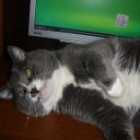 ���� �������, ���������, 65 ��� - ��������� 16 ������� 2014 � ������ ���� �����