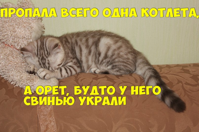      - 15  2015  17:02