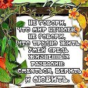 ���� �������, ����������, 60 ��� - ��������� 20 ������ 2015 � ������ ������ ��������