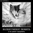 ���� E����, ����� - ��������� 2 ������� 2015 � ������ ��� ����