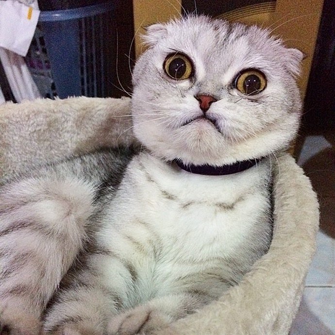      -   -   (LittleP). ,   ... - 3