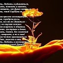 ���� �������, ���������, 67 ��� - ��������� 22 ������ 2015 � ������ ������ ��������