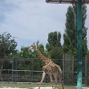 ���� ���, ����� - ��������� 16 ������� 2015 � ������ �����-���������!�