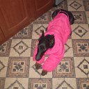 ���� �����, �����-��������� - ��������� 8 ������ 2015 � ������ ������ ��������