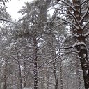 ���� ������� �, ��������, 59 ��� - ��������� 21 ����� 2015 � ������ ��������