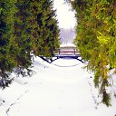 ���� ������, �������, 59 ��� - ��������� 20 ������� 2015 � ������ ������ ��������