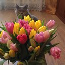 8 �����! �� ������� ���������