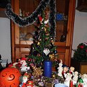  Gelya   20, , 57  -  25  2014    