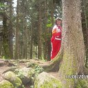 ���� ��������, ��������, 51 ��� - ��������� 12 ������� 2015 � ������ ���� ����������