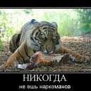 ���� Egor, ������, 38 ��� - ��������� 24 ����� 2015 � ������ ������ ��������