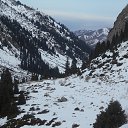  , , 43  -  4  2015    31.01.14  02.01.15