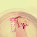 ���� ����, ������ - ��������� 26 ����� 2015 � ������ �����