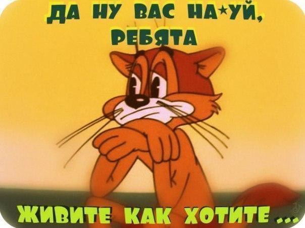   - ! - 11  2015  18:00