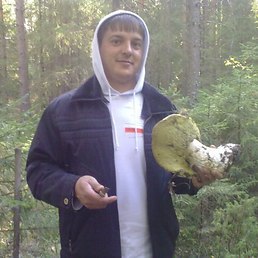 ������, ������, 41 ���