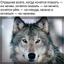 ���� �����, ������, 53 ���� - ��������� 12 ������ 2015 � ������ ������ ��������