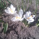 ���� ������, �������, 43 ���� - ��������� 10 ������ 2015 � ������ ���� ��������!!!!!�