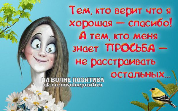  - 28  2015  12:23