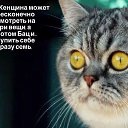  Klempner Deutscher,  -  2  2015    