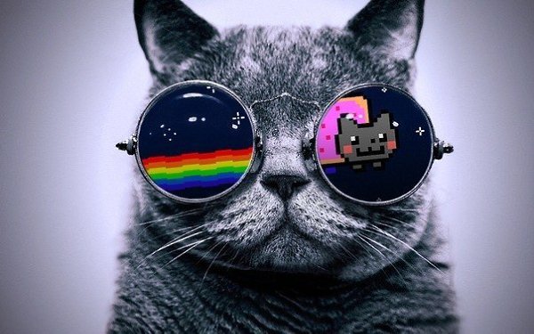 Magic the cookie - 1  2015  11:37