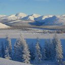 ���� ������, �������, 51 ��� - ��������� 20 ������� 2014 � ������ ���� ����������