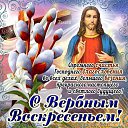 ���� �����, ��������, 62 ���� - ��������� 5 ������ 2015 � ������ ���� ����������