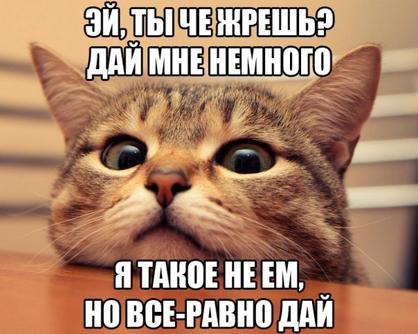   - 12  2015  23:32