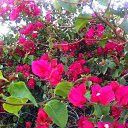 ���� ����, ������, 47 ��� - ��������� 21 ������� 2014 � ������ ������ ������� - ������ ������